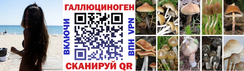 Купить закладки  Краснозаводск  Галлюциногенные грибы прущие грибы 
